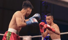 吃瓜娱乐拳击比赛视频