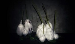 作茧自缚图片