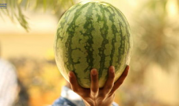 娱乐吃瓜为什么火,揭秘网络现象的火爆之谜