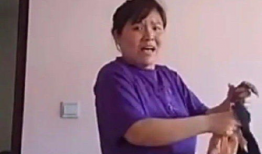 娱乐新吃瓜郭老师,揭秘娱乐圈幕后故事