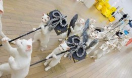 娱乐吃瓜君耍猴版,揭秘耍猴版背后的趣味与真相