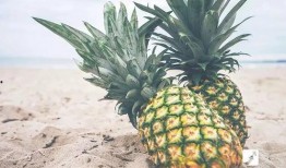 菠萝头娱乐吃瓜,揭秘娱乐圈吃瓜背后的真相与笑料