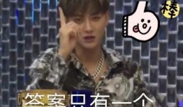 事事有回应娱乐吃瓜酱,事事有回应，揭秘娱乐圈幕后故事