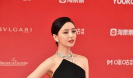 佟丽娅 个人资料,璀璨星途，优雅人生