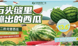 每日吃瓜大赛入口汇聚地