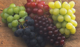 娱乐吃瓜酱葡萄娱乐