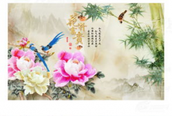 对锦上添花电影背景介绍