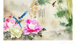 对锦上添花电影背景介绍