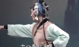 网红惊魂 泰国 腾讯,网红险境求生记