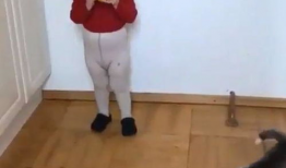 娱乐吃瓜酱拍照小狗狗,娱乐吃瓜酱与小狗狗的甜蜜互动