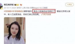 患有红斑狼疮的明星,勇敢明星的挑战与坚持